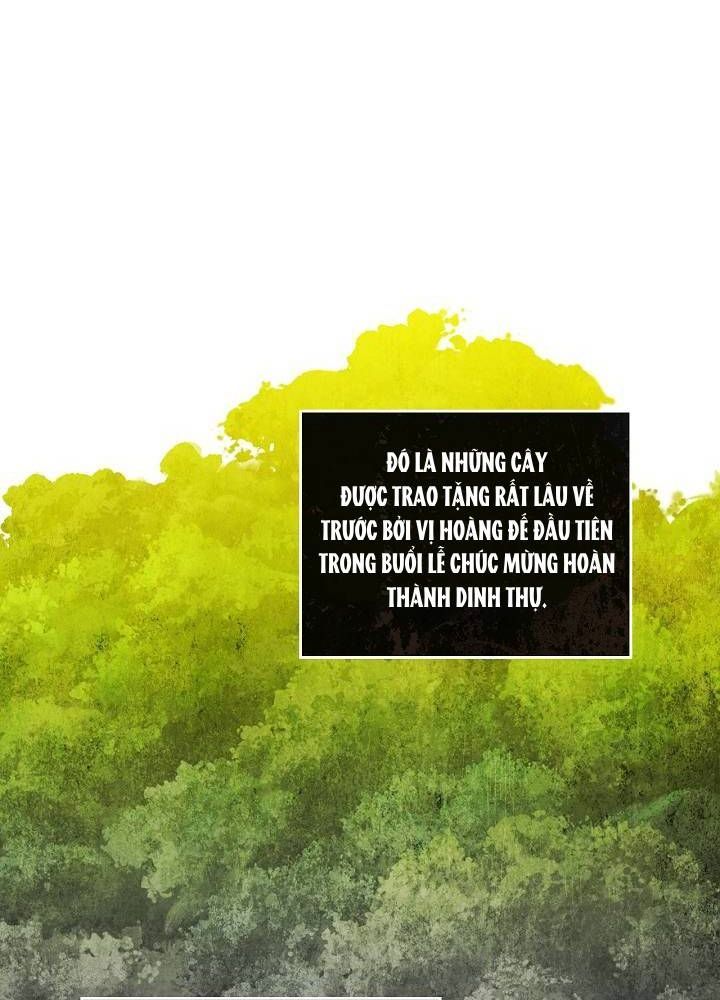 Kiếp Này, Tôi Sẽ Trở Thành Gia Chủ Chapter 2 - Trang 2