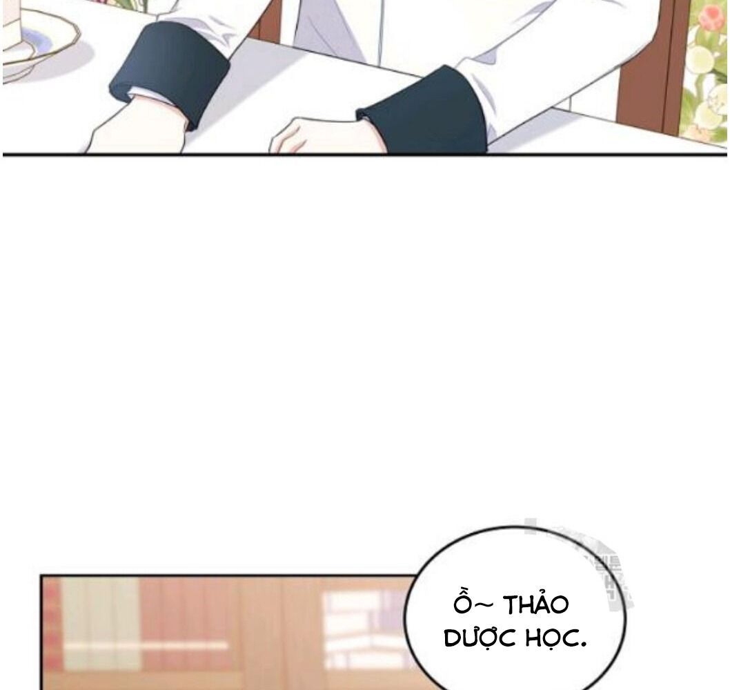 Kiếp Này, Tôi Sẽ Trở Thành Gia Chủ Chapter 21 - Trang 2