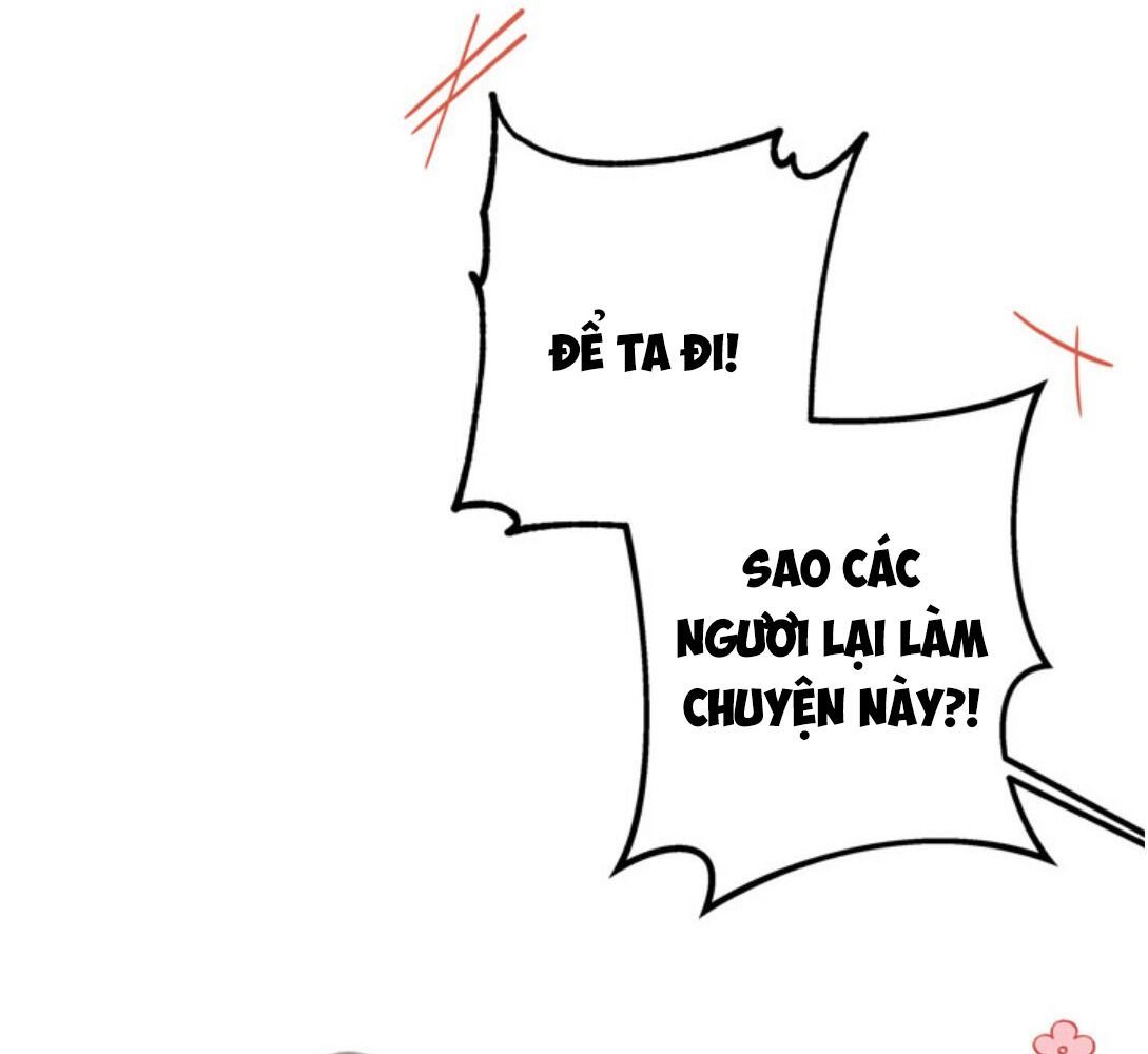 Kiếp Này, Tôi Sẽ Trở Thành Gia Chủ Chapter 23 - Trang 2