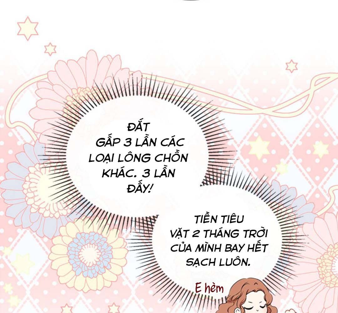 Kiếp Này, Tôi Sẽ Trở Thành Gia Chủ Chapter 49 - Trang 2