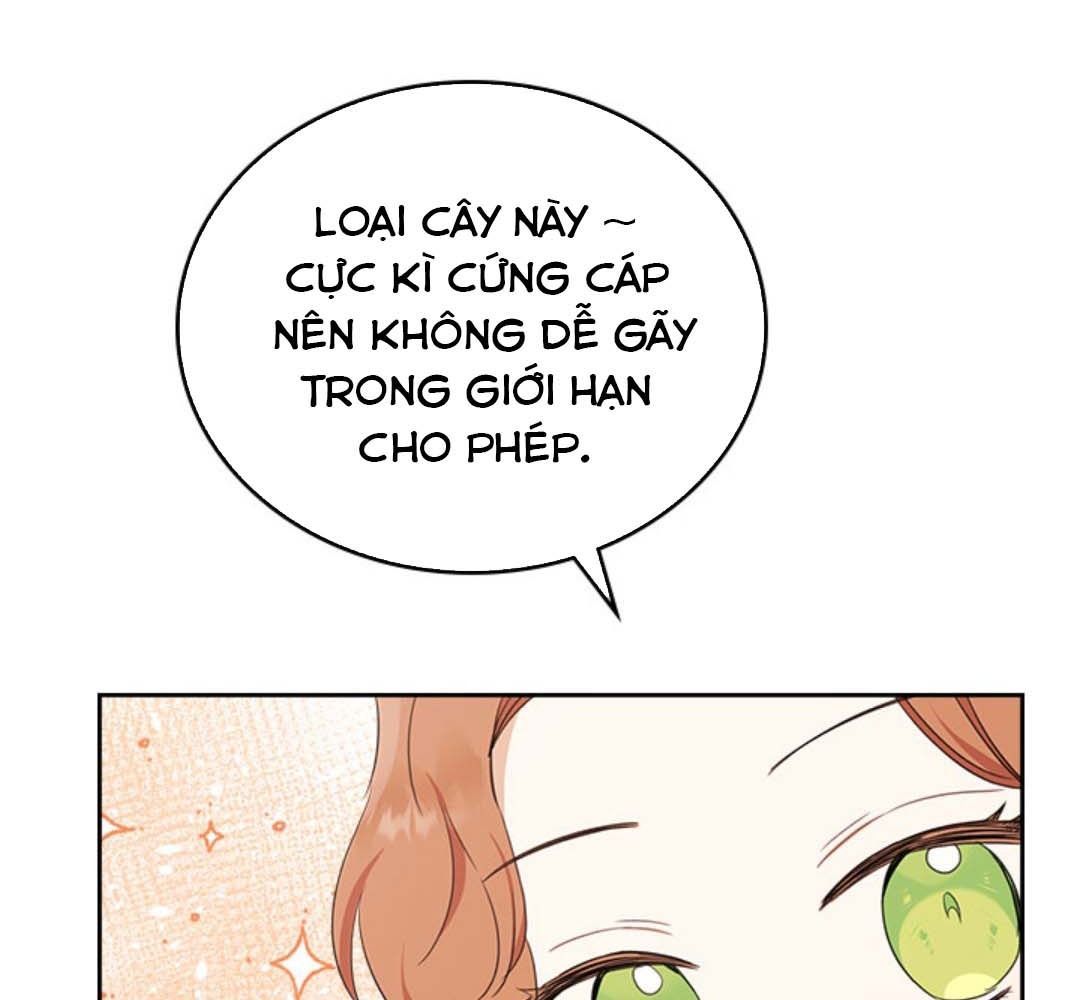 Kiếp Này, Tôi Sẽ Trở Thành Gia Chủ Chapter 49 - Trang 2