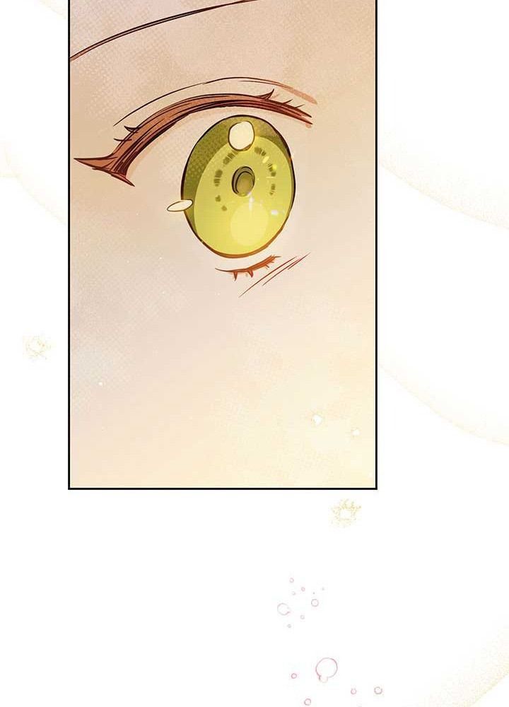 Kiếp Này, Tôi Sẽ Trở Thành Gia Chủ Chapter 73 - Trang 2