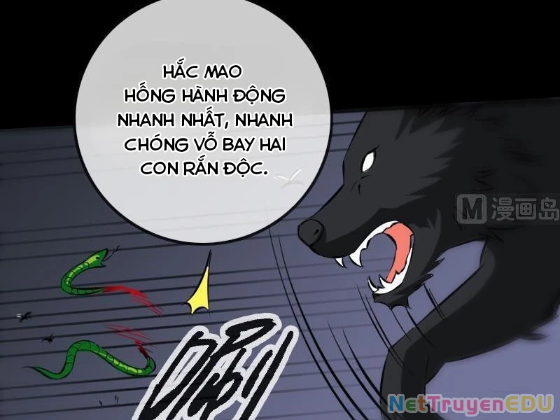 Kiếp Thiên Vận Chapter 175 - Trang 2