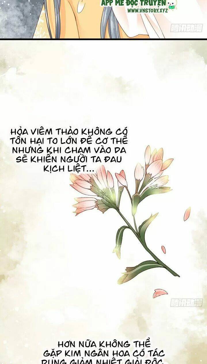 Kiều Nữ Độc Phi Chapter 175 - Trang 2