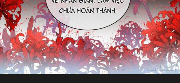 Kiều Phu Có Hỉ Chapter 19 - Trang 2