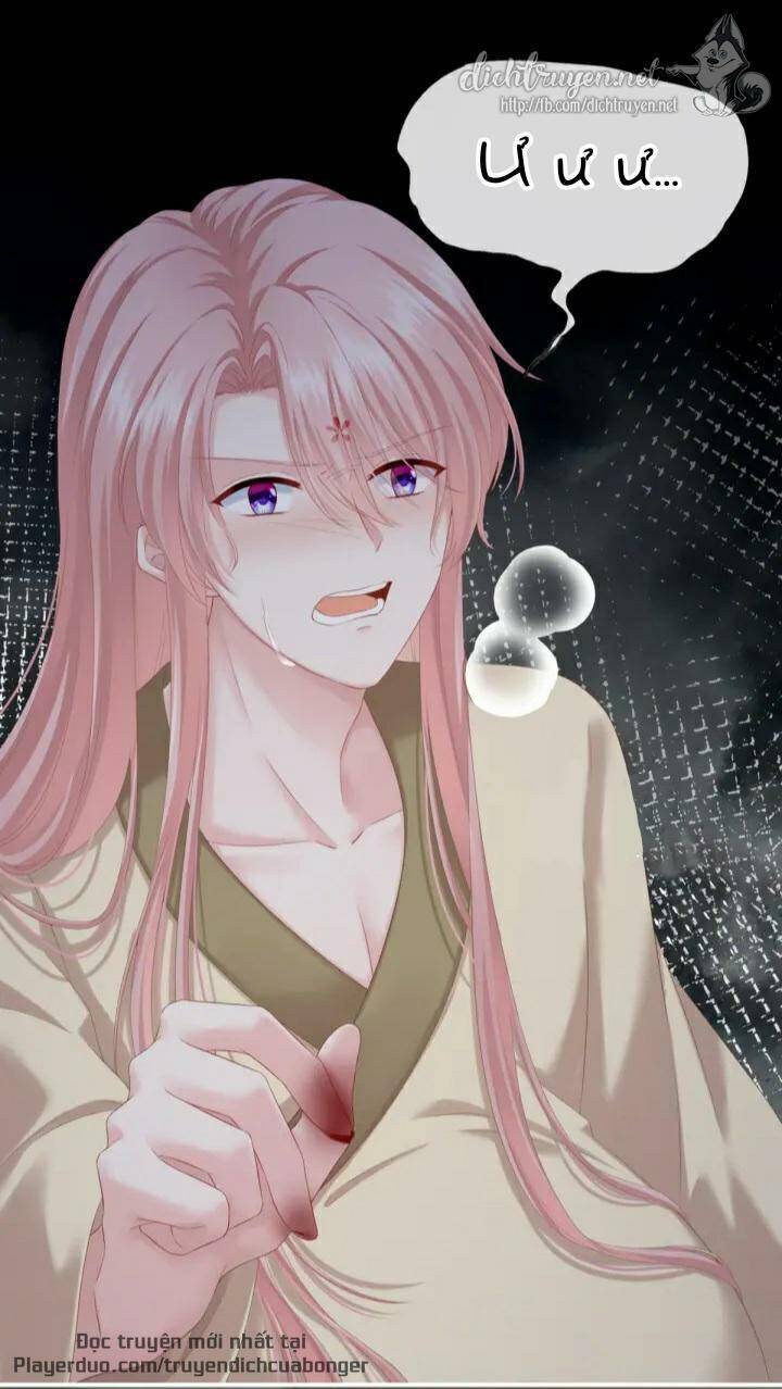 Kiều Phu Có Hỉ Chapter 2 - Trang 2