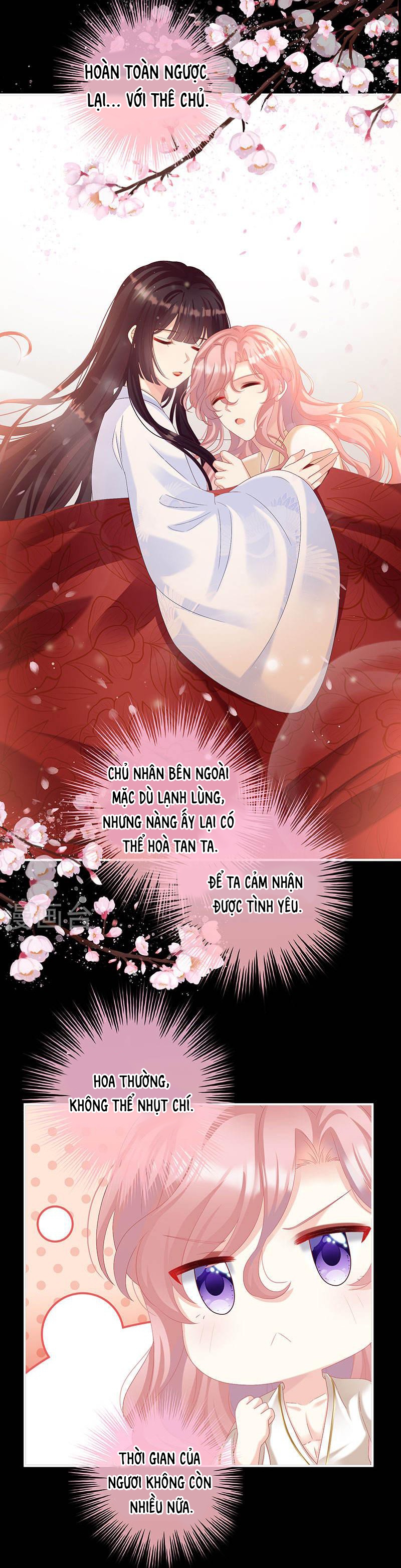 Kiều Phu Có Hỉ Chapter 72 - Trang 2