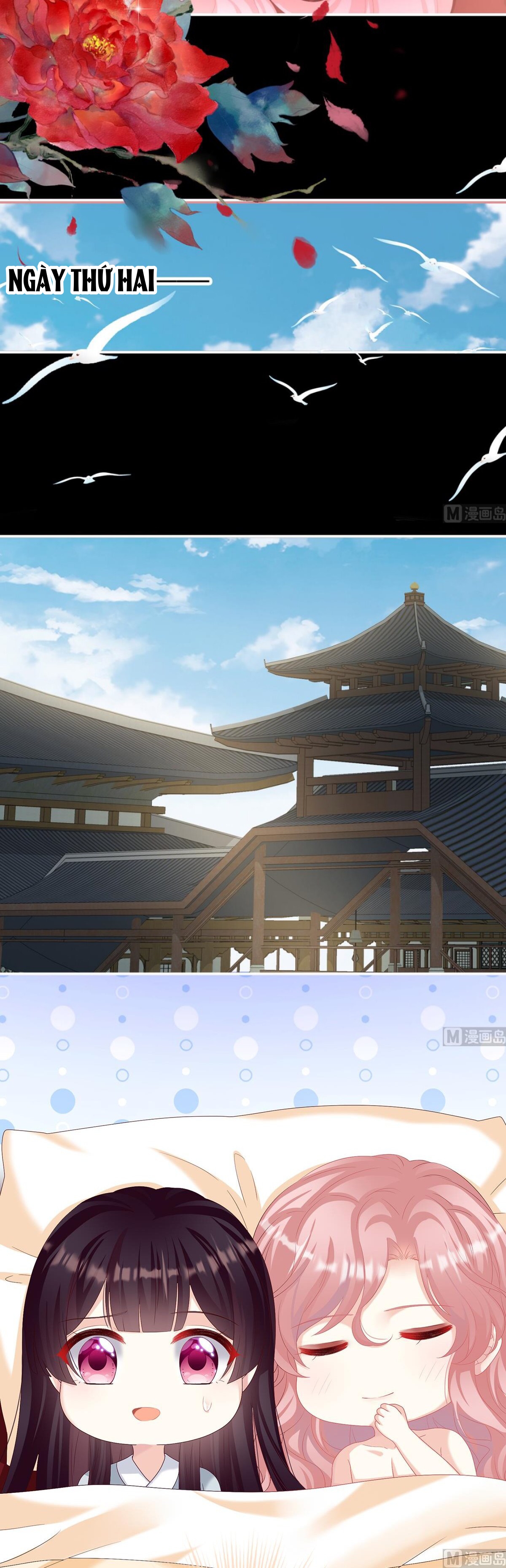 Kiều Phu Có Hỉ Chapter 78 - Trang 2