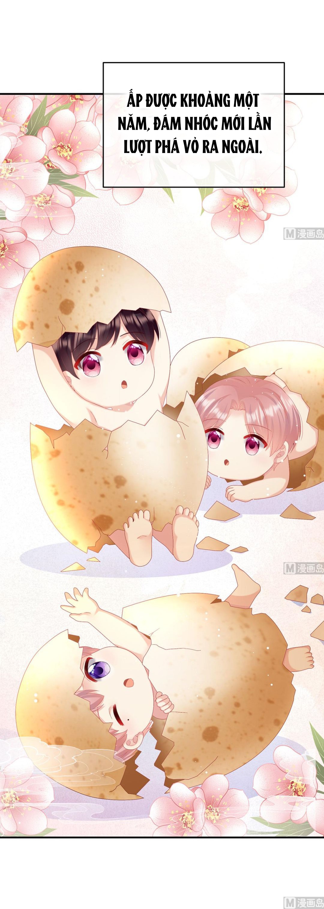 Kiều Phu Có Hỉ Chapter 95 - Trang 2