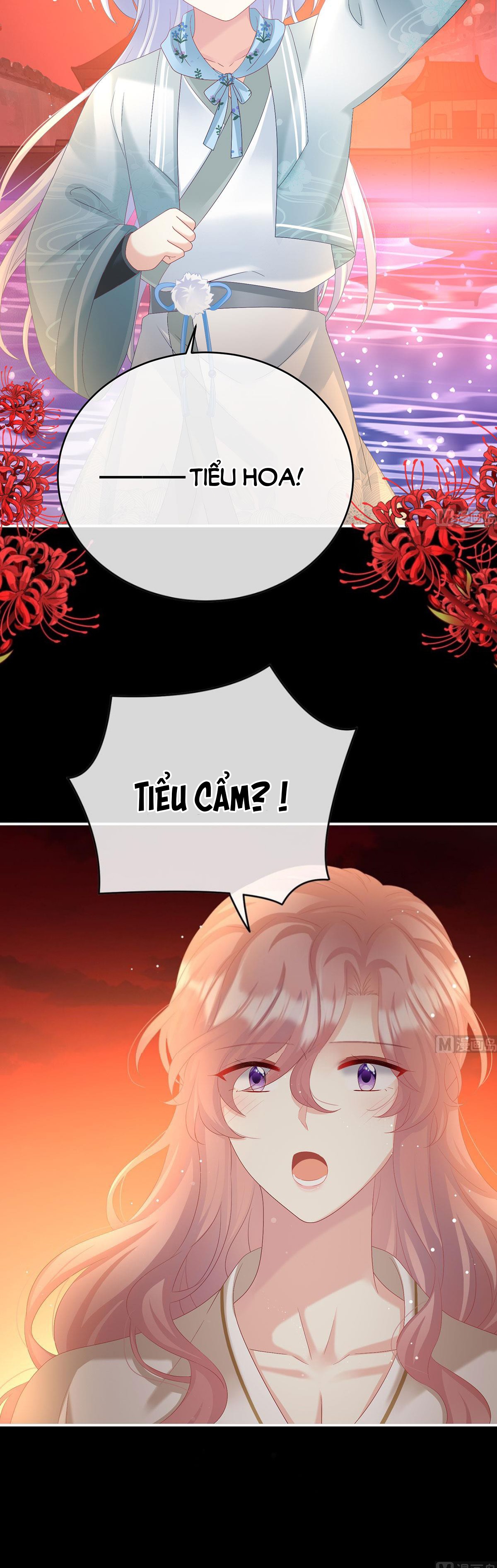 Kiều Phu Có Hỉ Chapter 96 - Trang 2