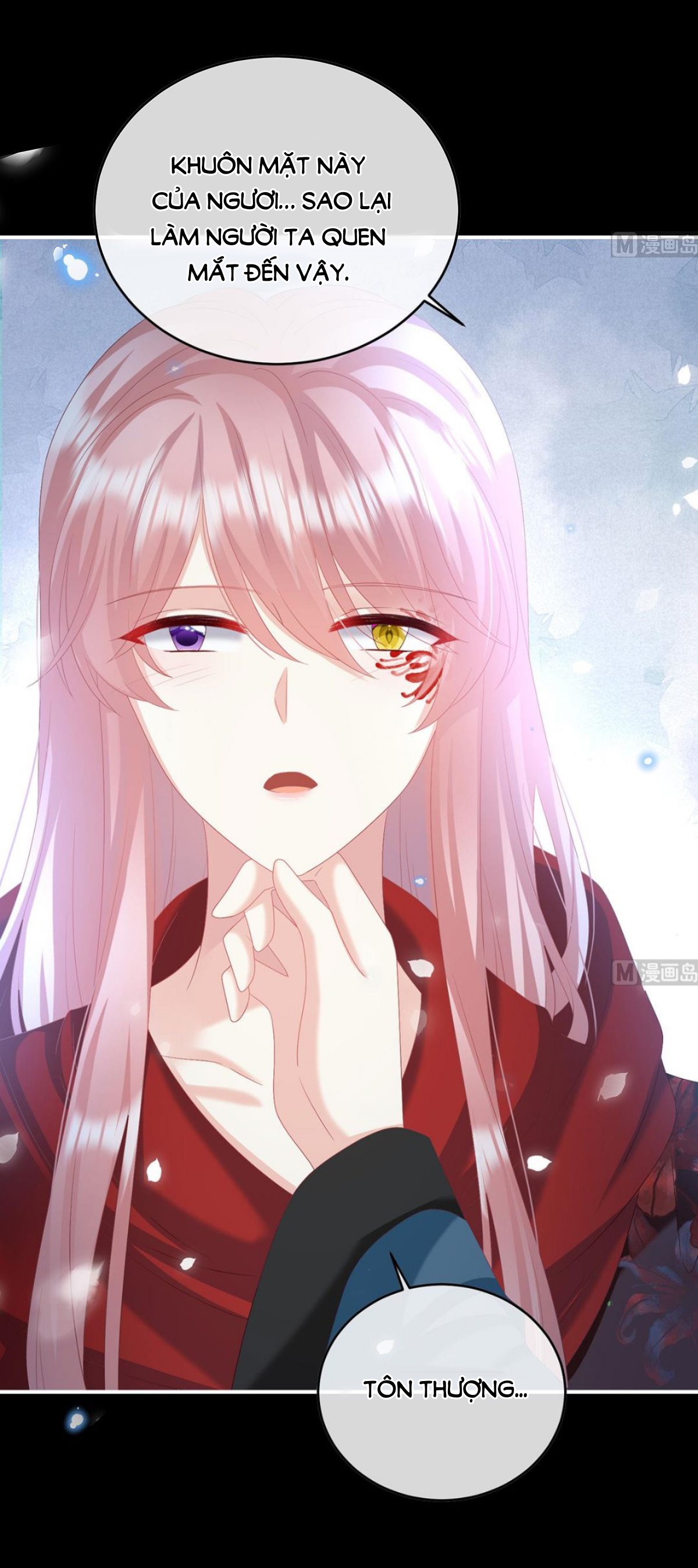 Kiều Phu Có Hỉ Chapter 97 - Trang 2