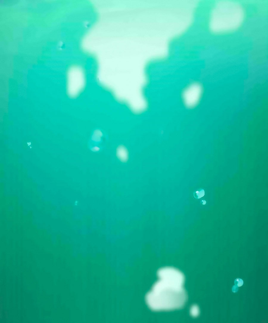 Kiêu Sủng Y Phi Chapter 1 - Trang 2