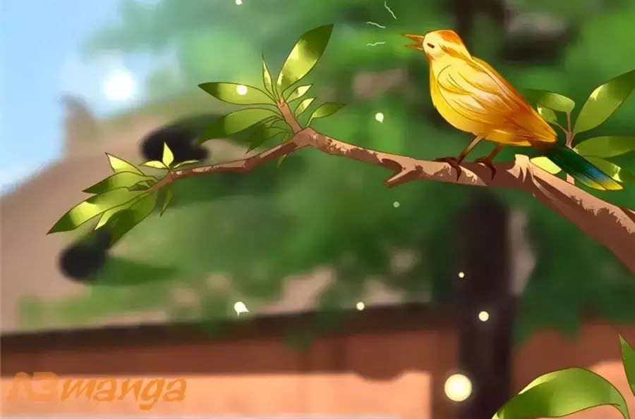 Kiêu Sủng Y Phi Chapter 130 - Trang 2