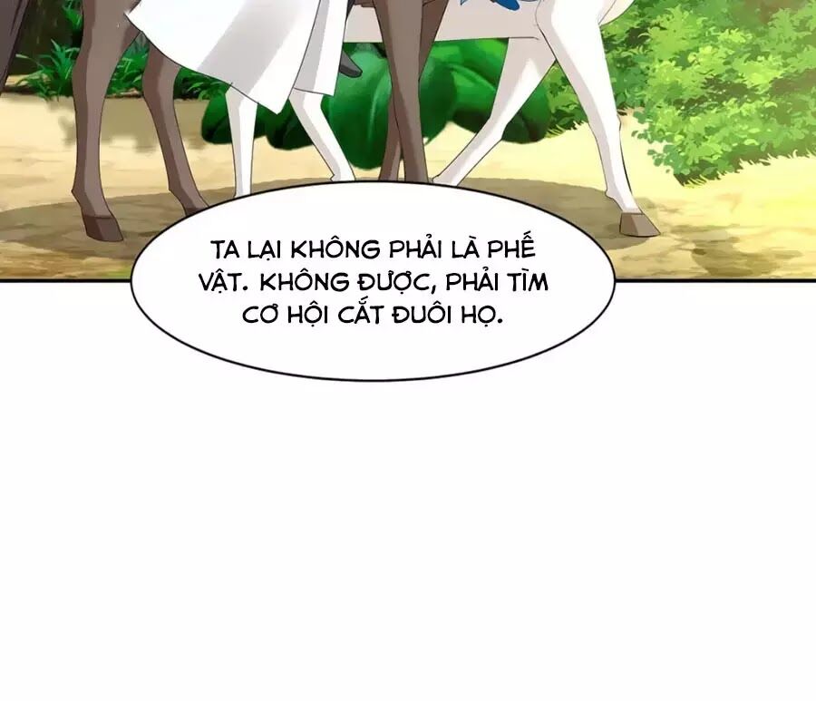 Kiêu Sủng Y Phi Chapter 163 - Trang 2