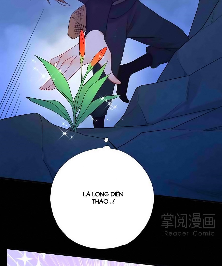 Kiêu Sủng Y Phi Chapter 8 - Trang 2