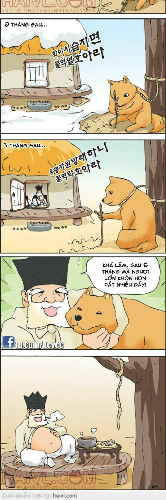 Kim Chi Và Củ Cải Chapter 808 - Trang 2