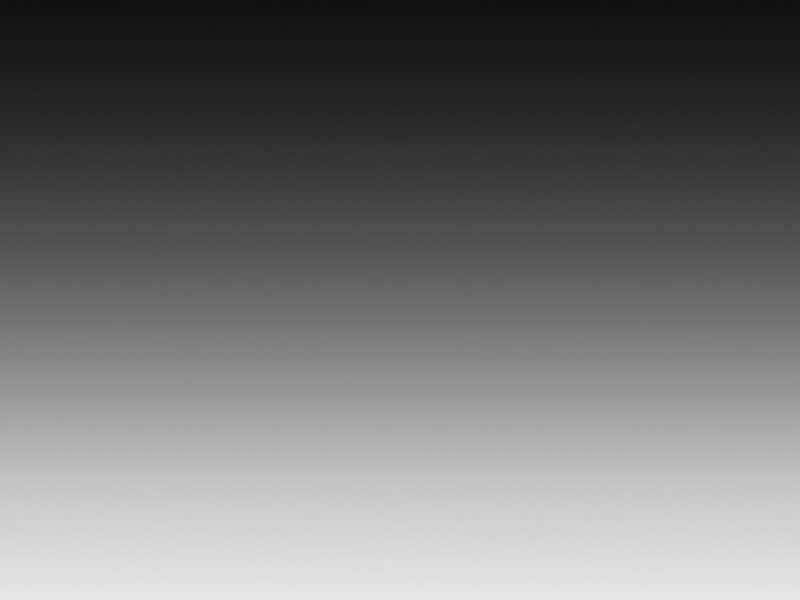 Kim Giáp Đồ Long Chapter 19 - Trang 2