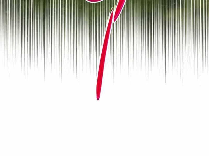 Kim Giáp Đồ Long Chapter 20 - Trang 2