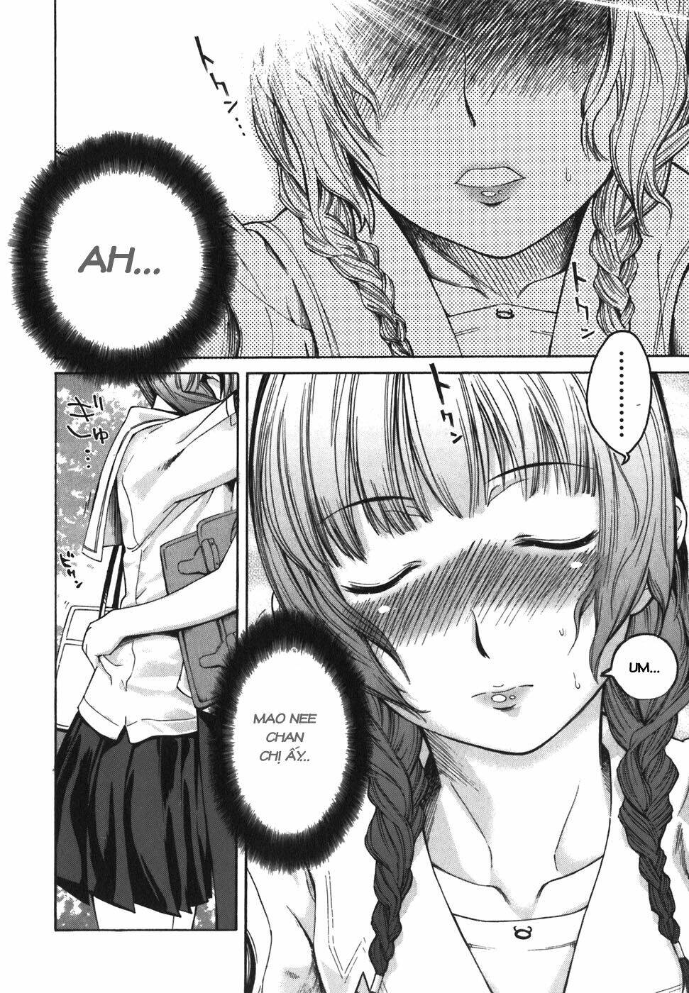 Kimi Kiss: Various Heroines Chapter 2 - Trang 2