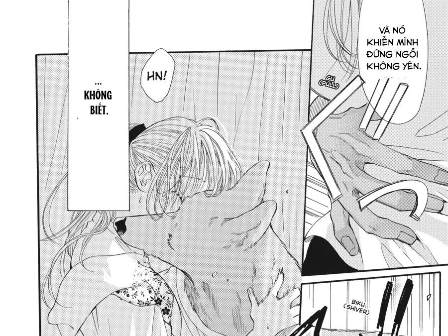 Kimi To Koete Koi Ni Naru Chapter 11 - Trang 2