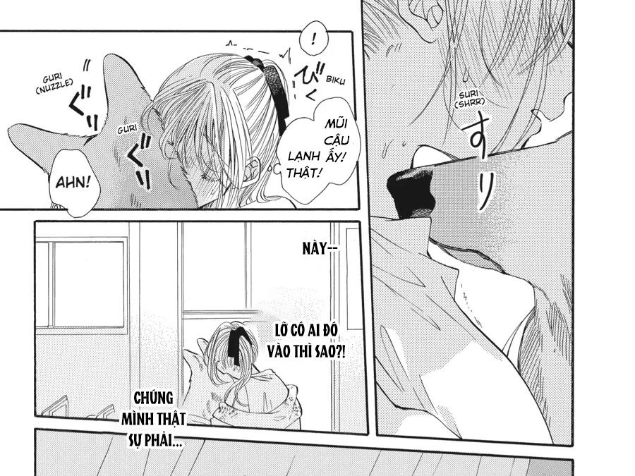 Kimi To Koete Koi Ni Naru Chapter 11 - Trang 2