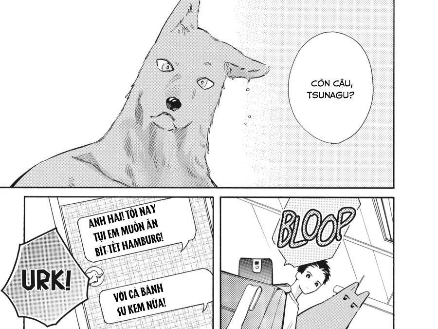 Kimi To Koete Koi Ni Naru Chapter 12 - Trang 2