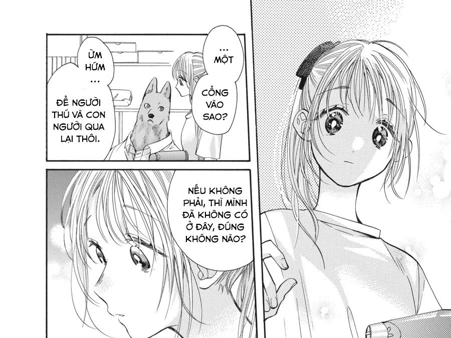 Kimi To Koete Koi Ni Naru Chapter 12 - Trang 2