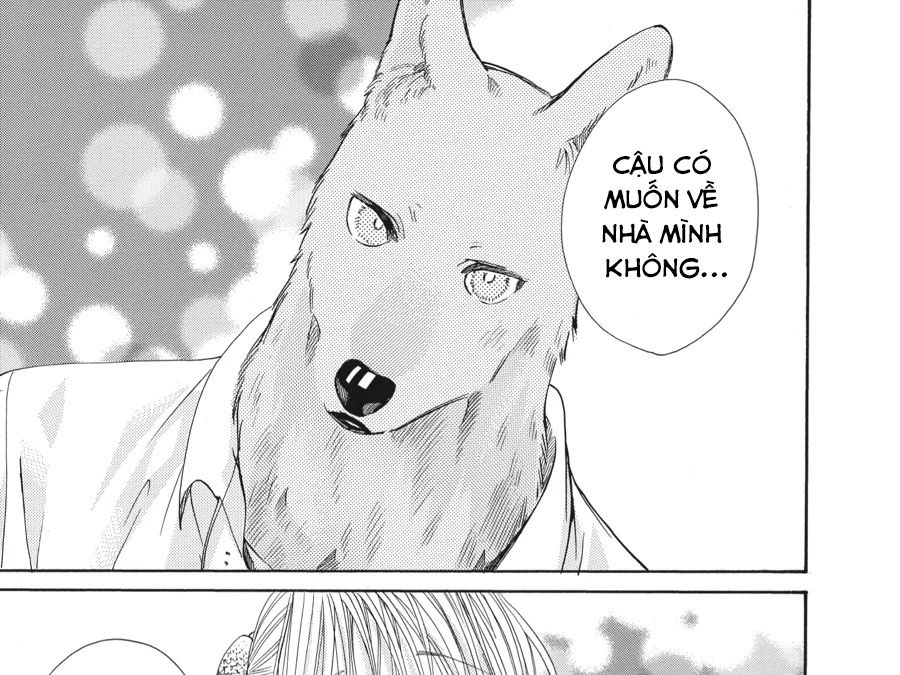 Kimi To Koete Koi Ni Naru Chapter 12 - Trang 2