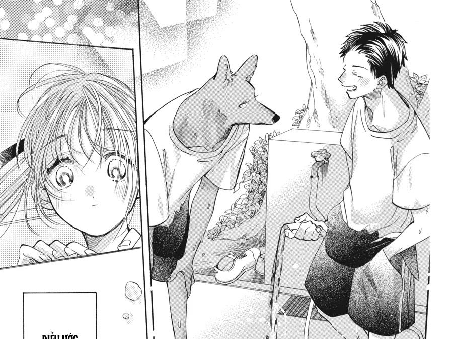 Kimi To Koete Koi Ni Naru Chapter 12 - Trang 2