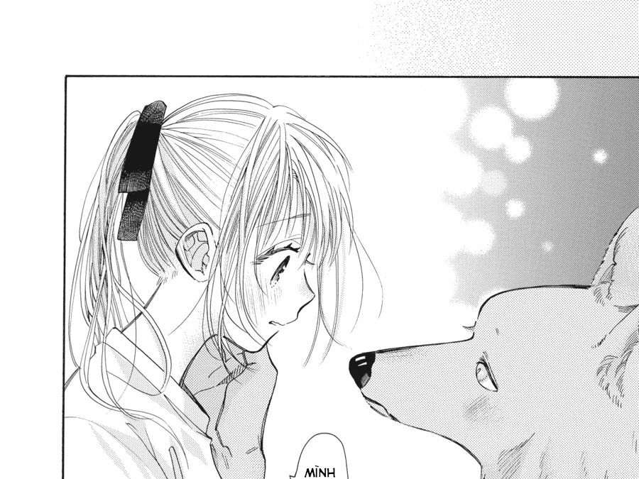 Kimi To Koete Koi Ni Naru Chapter 12 - Trang 2