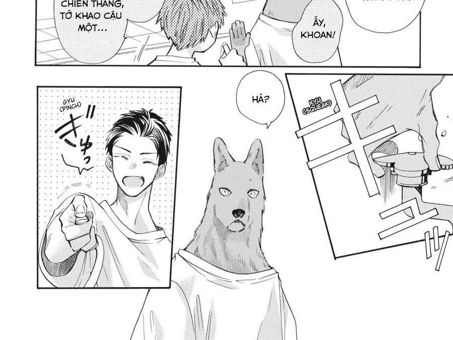 Kimi To Koete Koi Ni Naru Chapter 12 - Trang 2