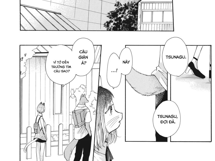 Kimi To Koete Koi Ni Naru Chapter 13 - Trang 2