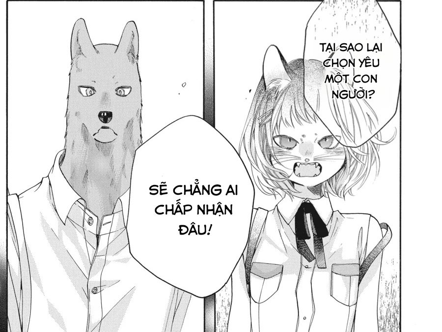 Kimi To Koete Koi Ni Naru Chapter 13 - Trang 2