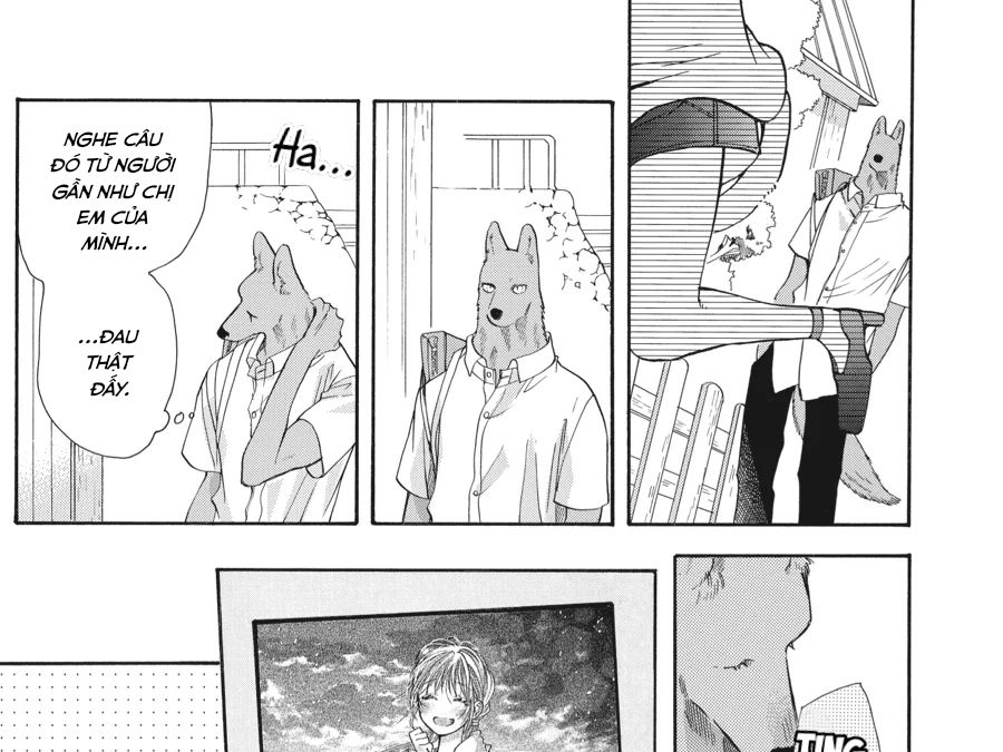 Kimi To Koete Koi Ni Naru Chapter 13 - Trang 2