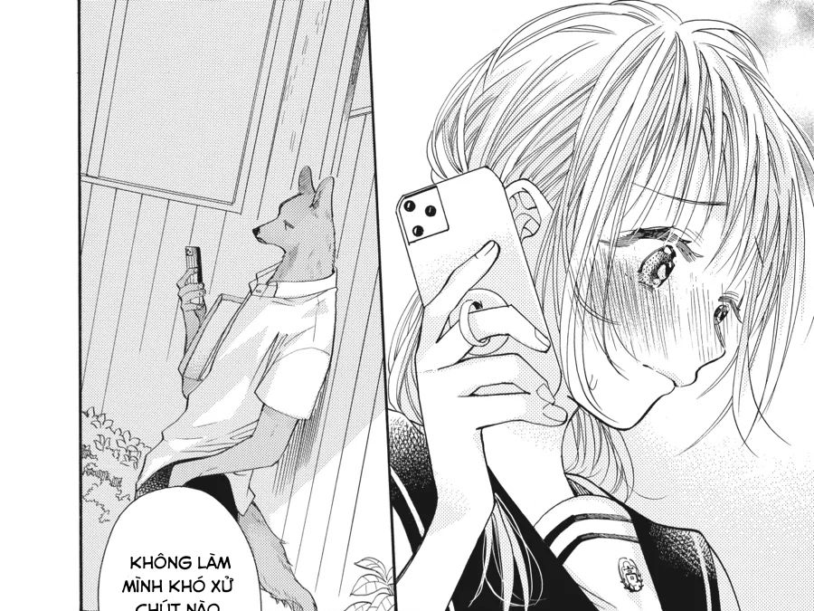 Kimi To Koete Koi Ni Naru Chapter 13 - Trang 2