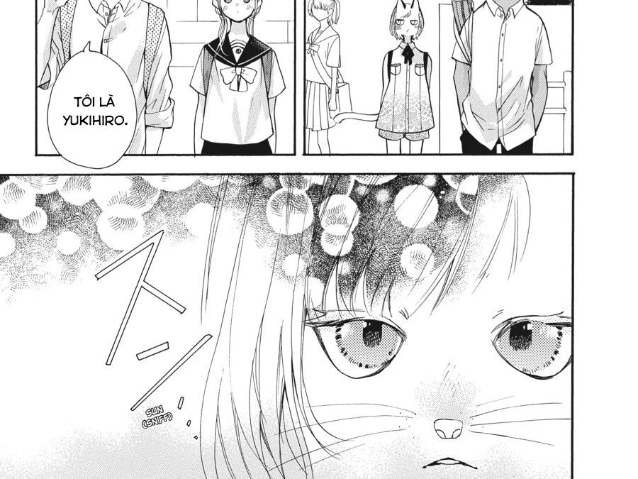 Kimi To Koete Koi Ni Naru Chapter 13 - Trang 2