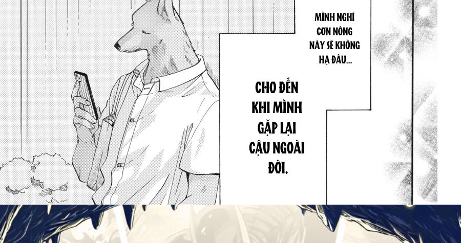 Kimi To Koete Koi Ni Naru Chapter 13 - Trang 2