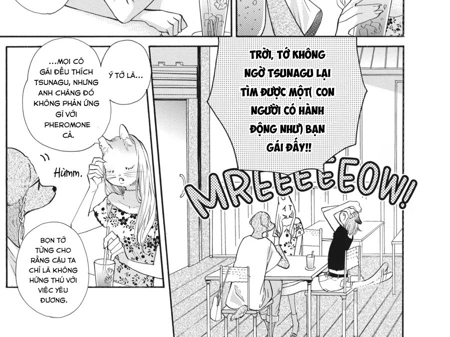 Kimi To Koete Koi Ni Naru Chapter 14 - Trang 2