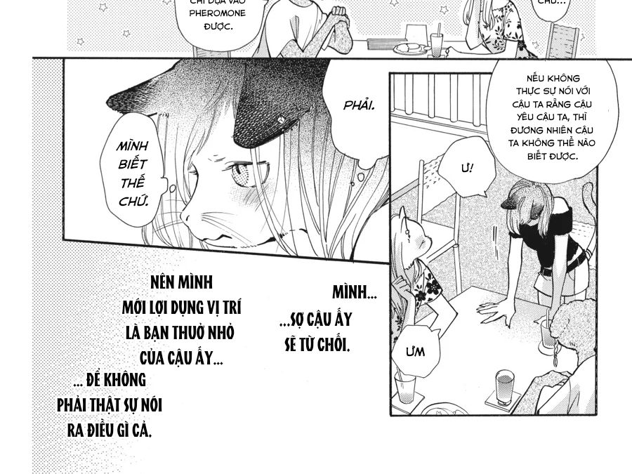 Kimi To Koete Koi Ni Naru Chapter 14 - Trang 2