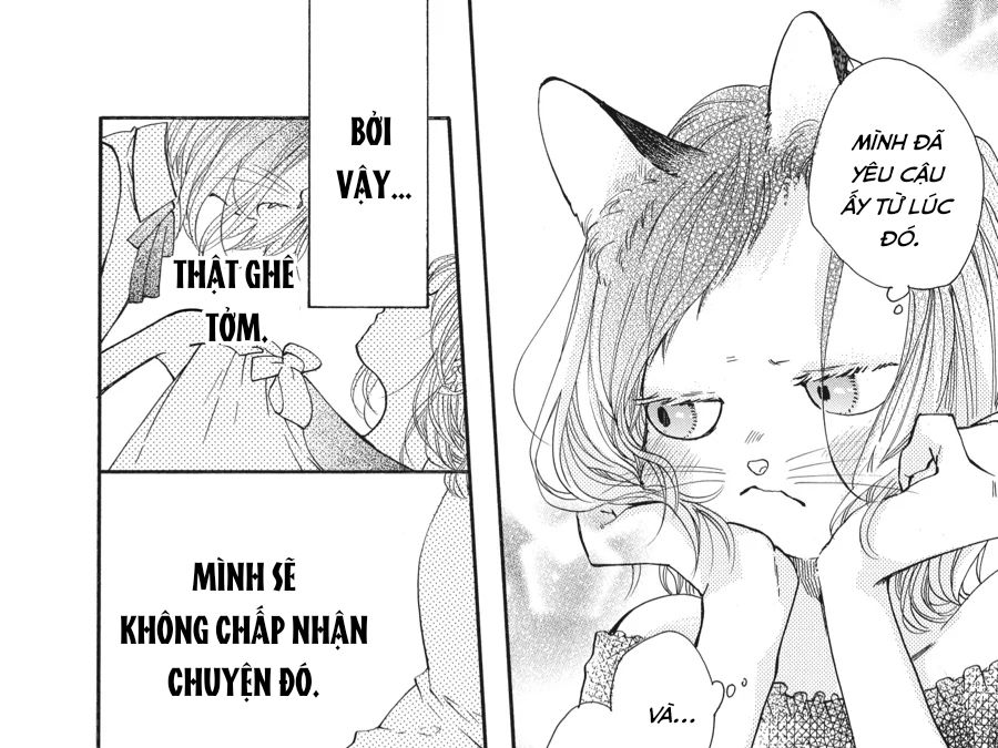 Kimi To Koete Koi Ni Naru Chapter 14 - Trang 2