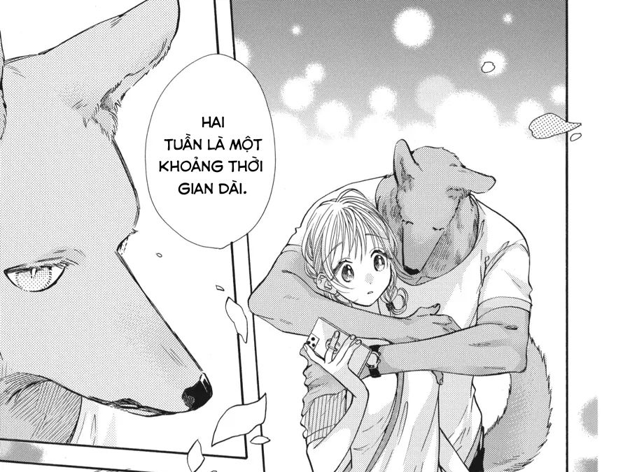 Kimi To Koete Koi Ni Naru Chapter 14 - Trang 2