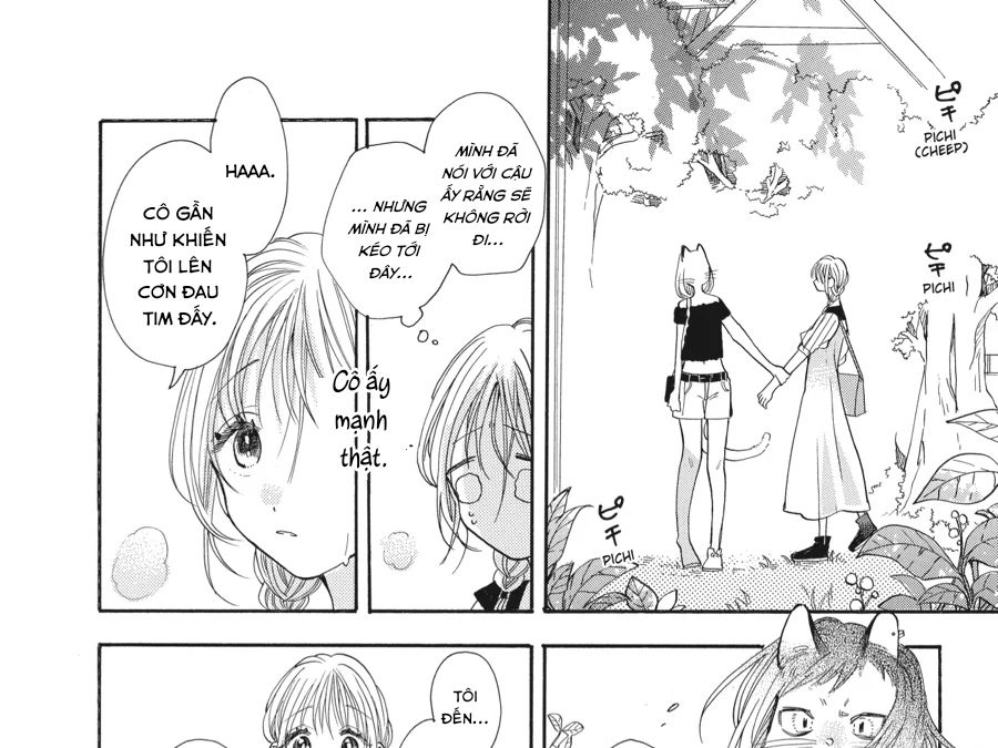 Kimi To Koete Koi Ni Naru Chapter 14 - Trang 2