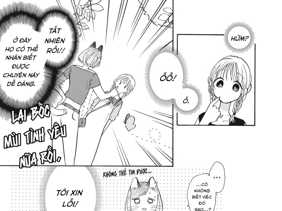 Kimi To Koete Koi Ni Naru Chapter 14 - Trang 2