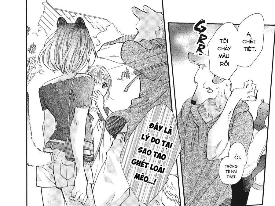 Kimi To Koete Koi Ni Naru Chapter 14 - Trang 2