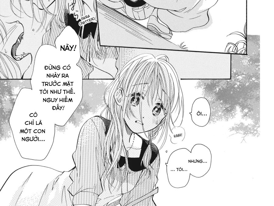 Kimi To Koete Koi Ni Naru Chapter 14 - Trang 2