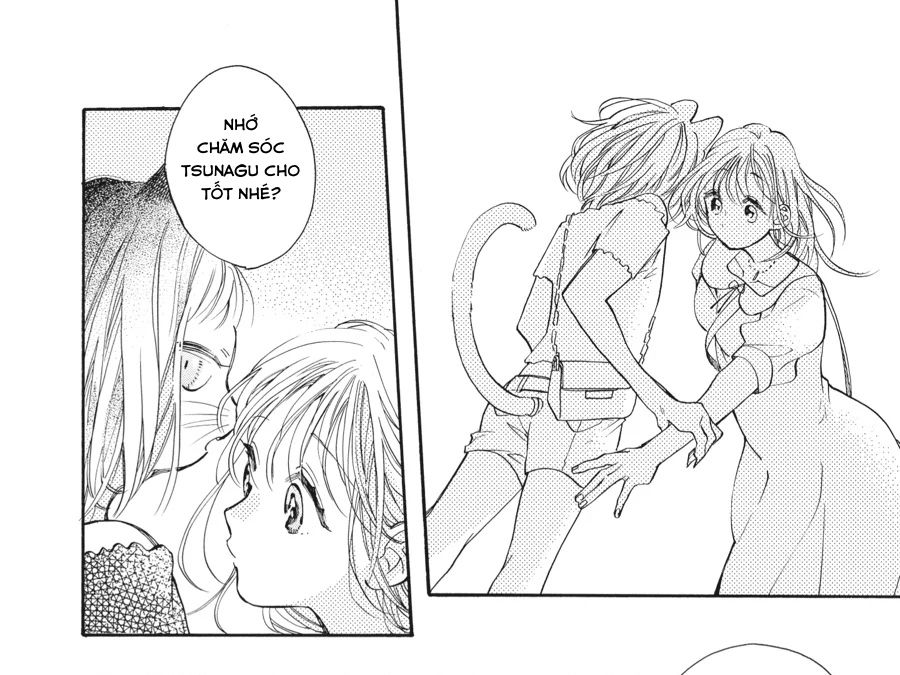 Kimi To Koete Koi Ni Naru Chapter 15 - Trang 2