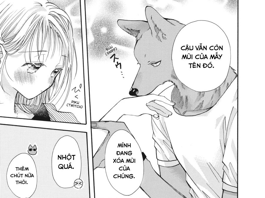 Kimi To Koete Koi Ni Naru Chapter 15 - Trang 2