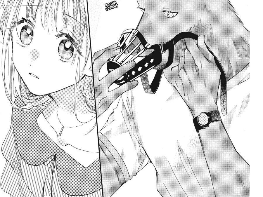 Kimi To Koete Koi Ni Naru Chapter 15 - Trang 2