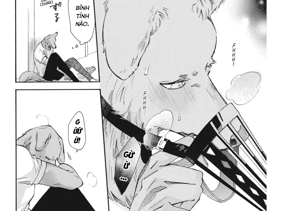 Kimi To Koete Koi Ni Naru Chapter 16 - Trang 2