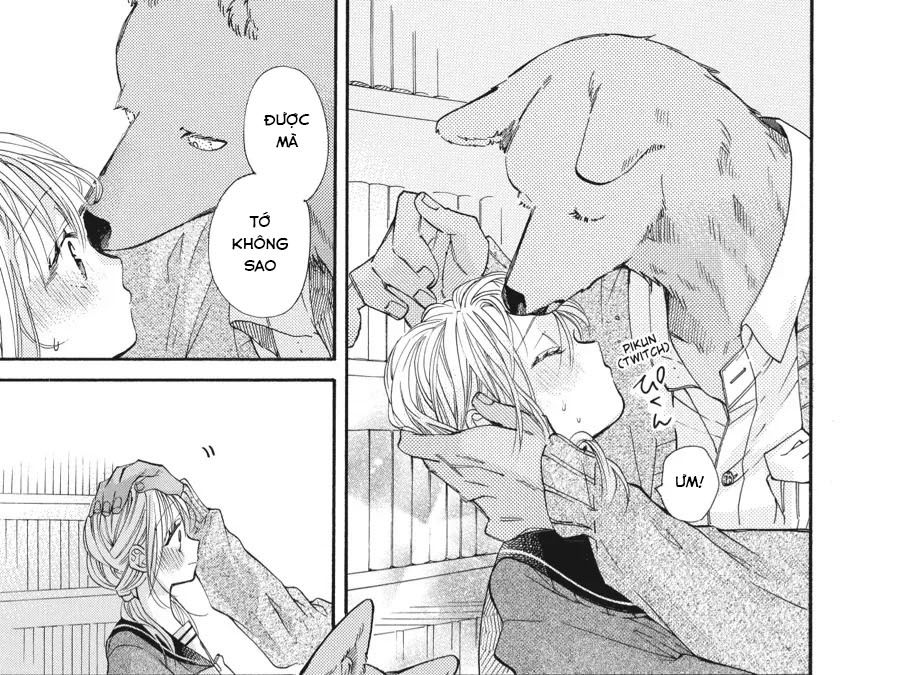 Kimi To Koete Koi Ni Naru Chapter 17 - Trang 2